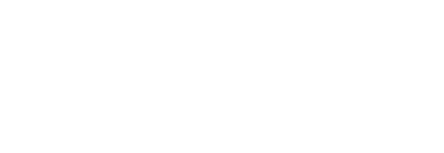 Tailon Logo